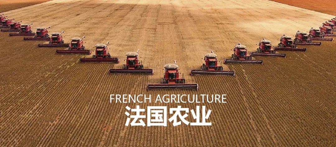 法国农业：欧盟农业大国，靠这6大战略制胜市场